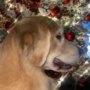 Meet your Posher, Kala